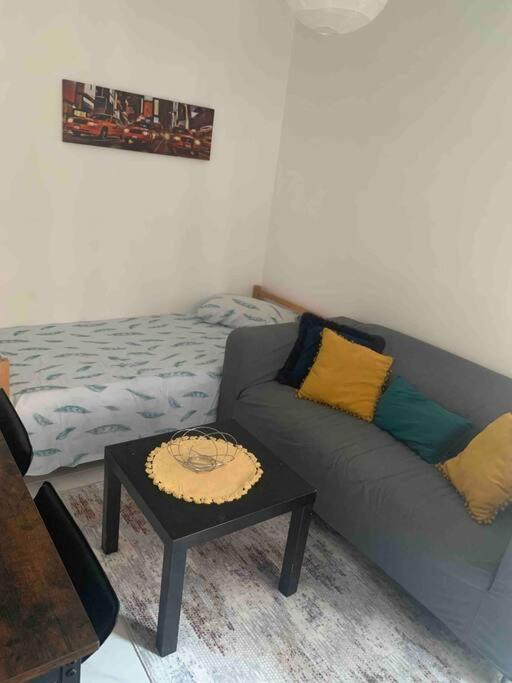 Dijon: Superbe Appartement En Hyper Centre Экстерьер фото